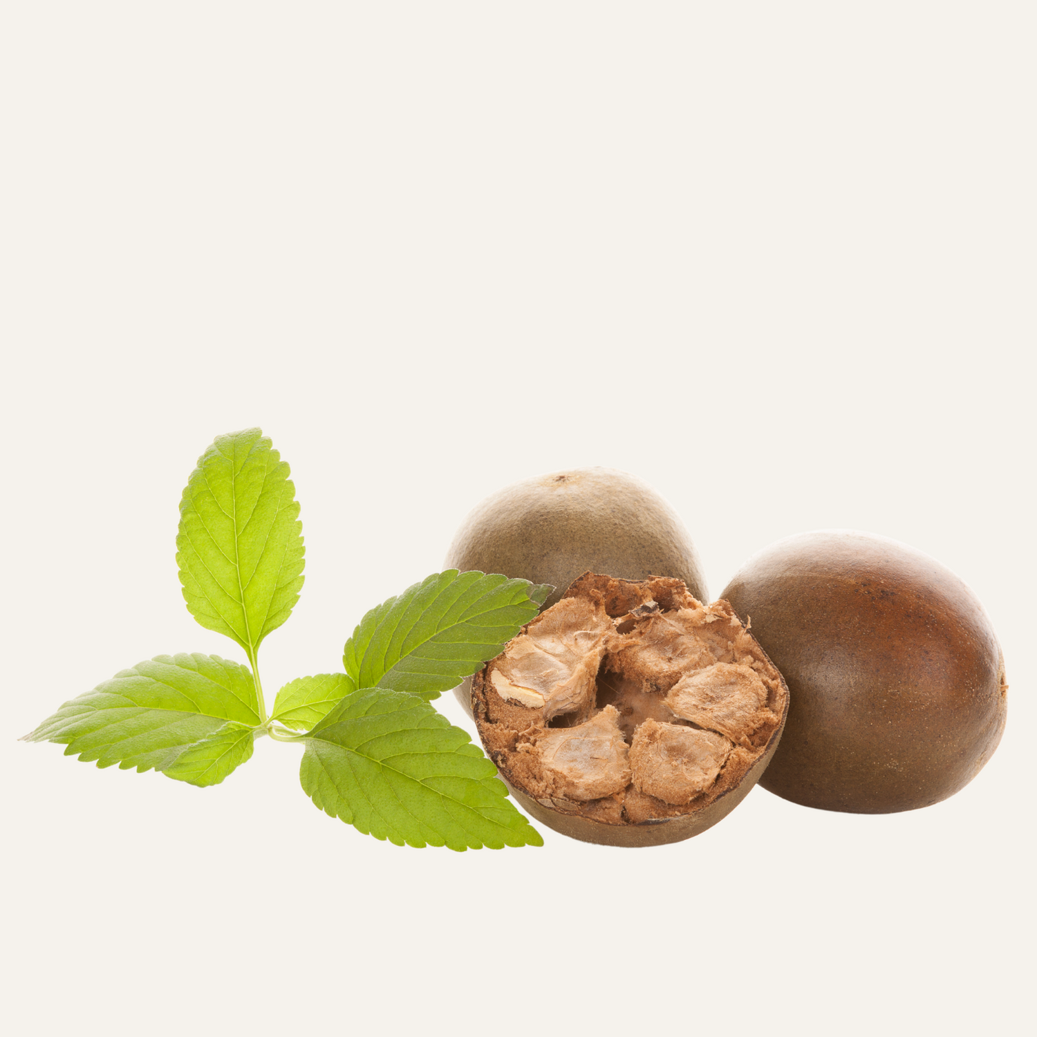 Monk Fruit Natural Sweetner