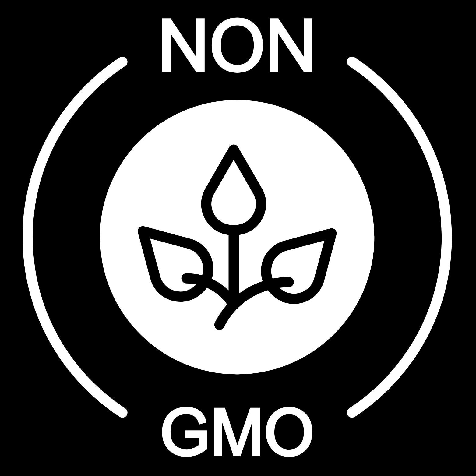 Non GMO Protein
